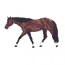 QUARTER HORSE