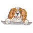 PUPPY 20